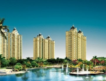 恒大名都成功訂購膠合闆